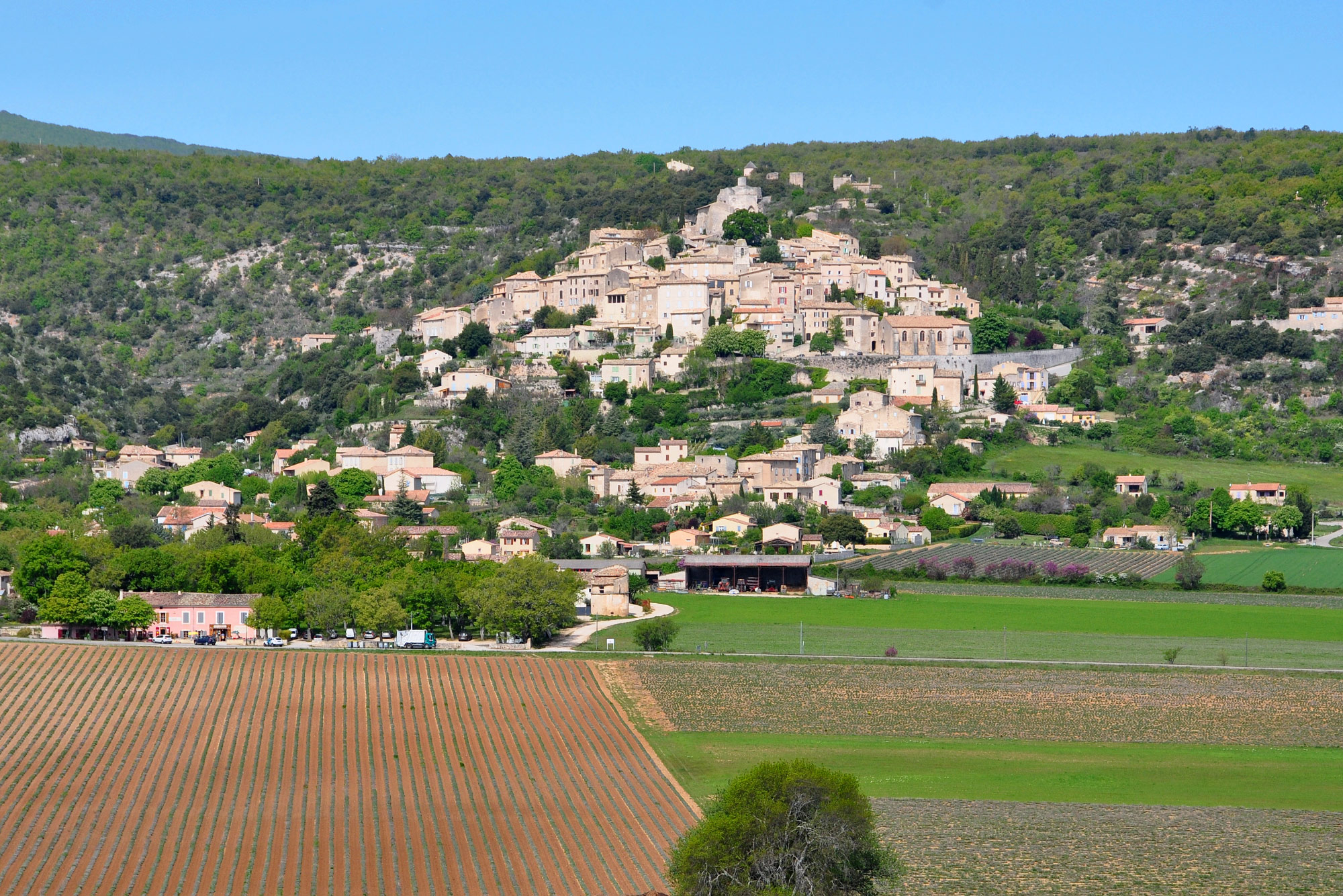 Simiane-la-Rotonde